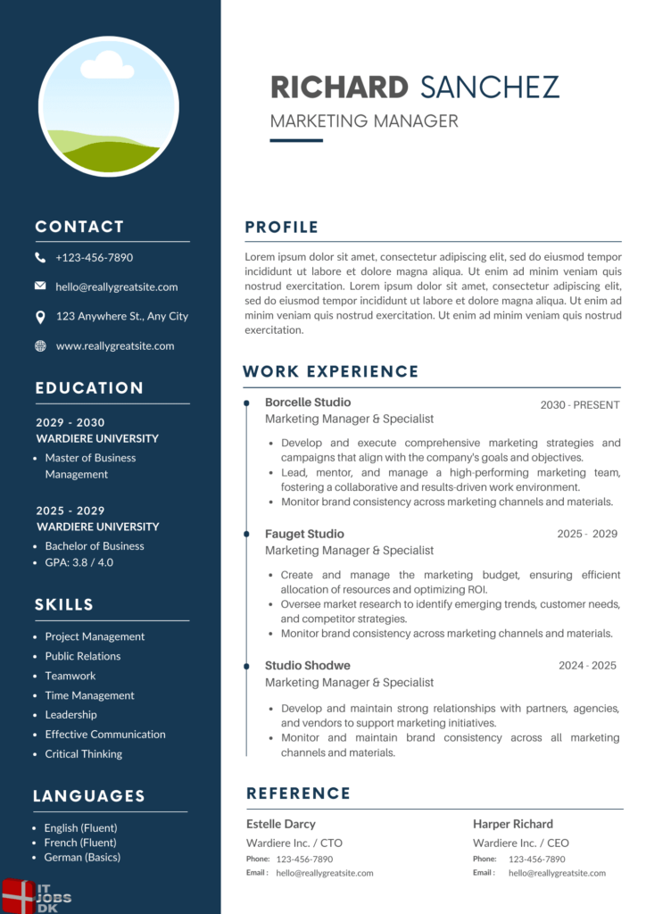 denmark cv example