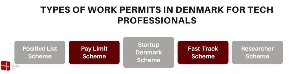 Types of Work Permits in Denmark for Tech Professionals